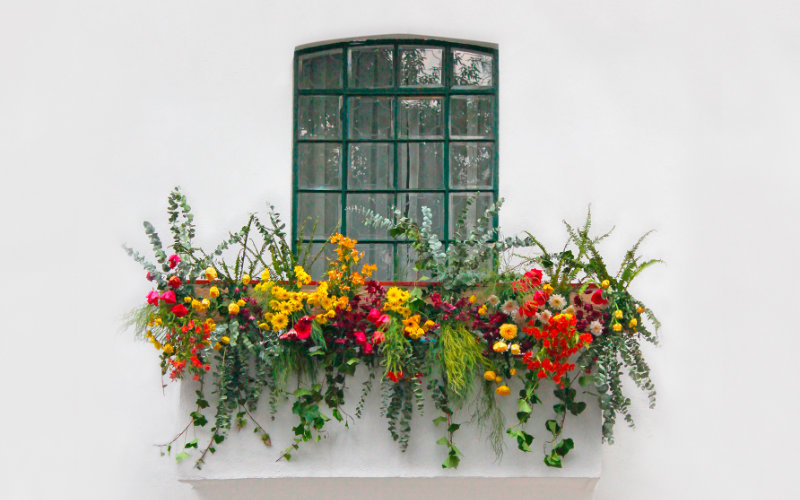 Kwiatowe inspiracje na balkon – trzy popularne rodzaje kwiatów, które doda Twojemu balkonowi stylowego wyglądu i pięknej dekoracji przez cały rok